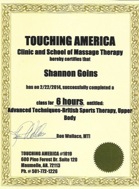 British Sports Therapy Advanced Techniques - Upper Body 