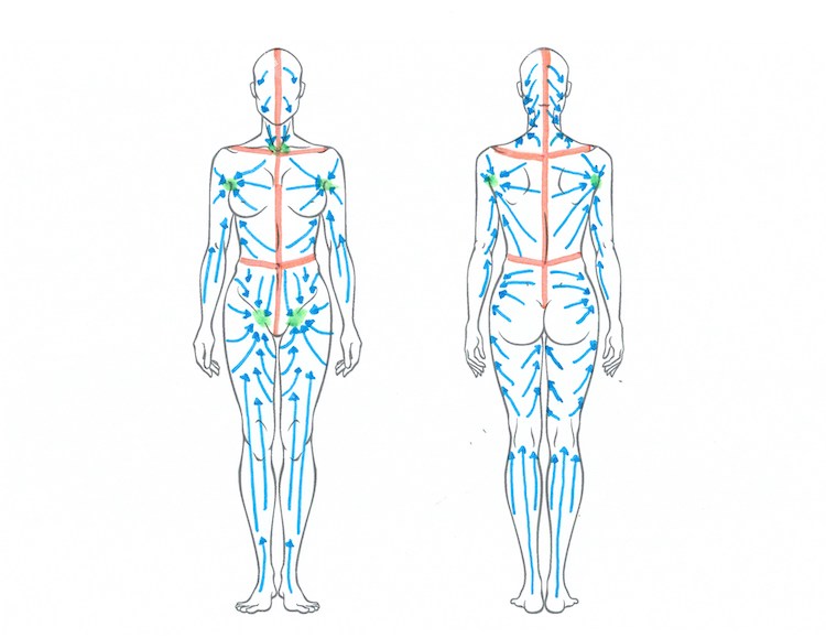 Lymphatic body diagram for manual lymphatic drainage lymphatic massage