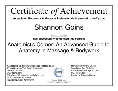 Advanced Guide to Anatomy in Massage Albuquerque