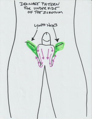 Male Genital Lymphatic Drainage for after plastic surgery swelling